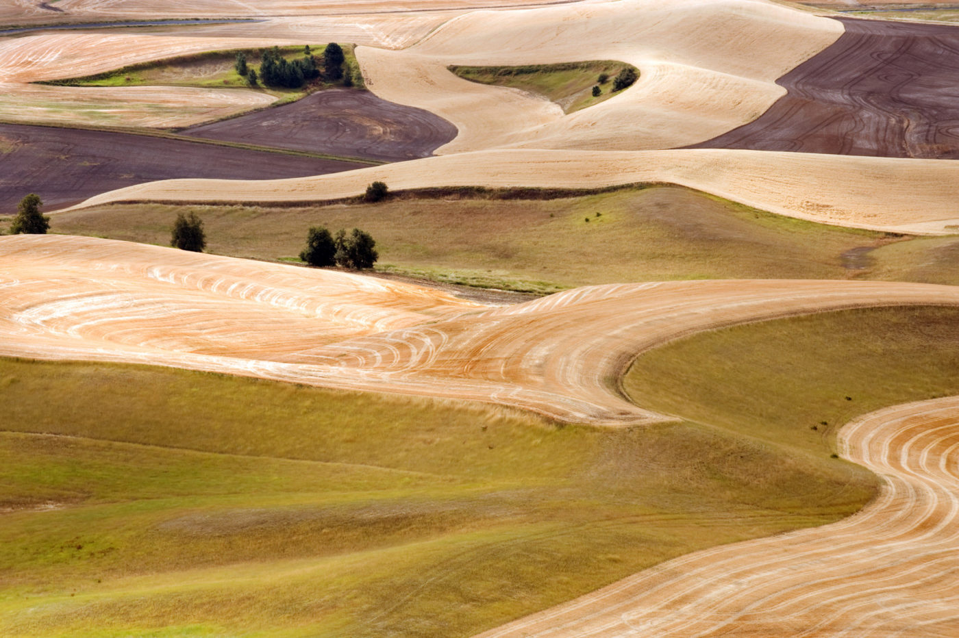 Palouse Hills crop fields at harvest time, Washington state