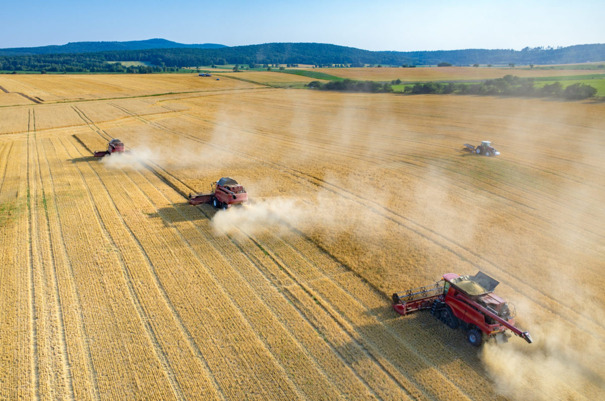 Combines and tractors working on the wheat field