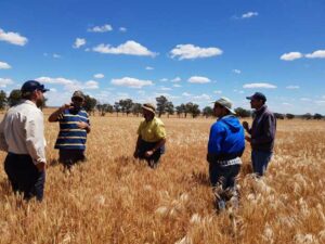 Discussing data collection at the Fox Family Farm near Marrar, New South Wales.