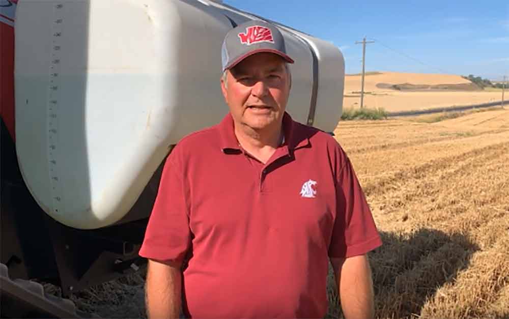 Wheat Farmer Gary Bailey