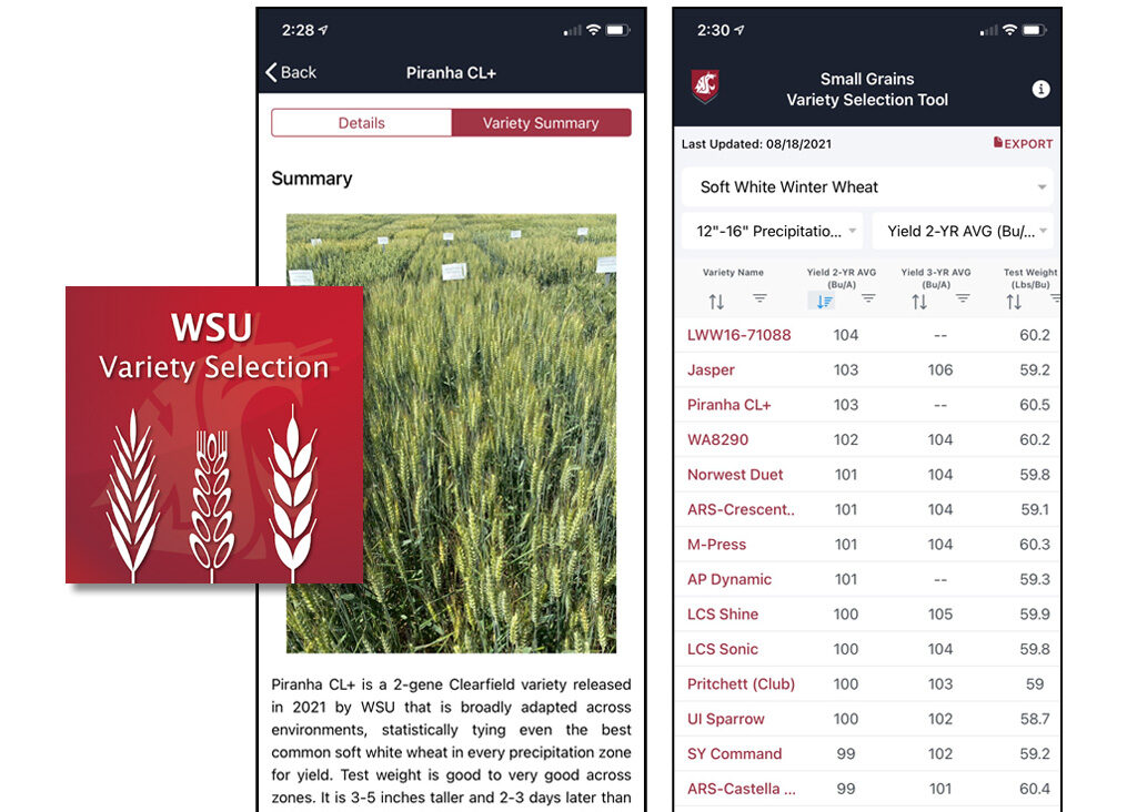 WSU Variety Selection Tool app logo with screengrab of app display