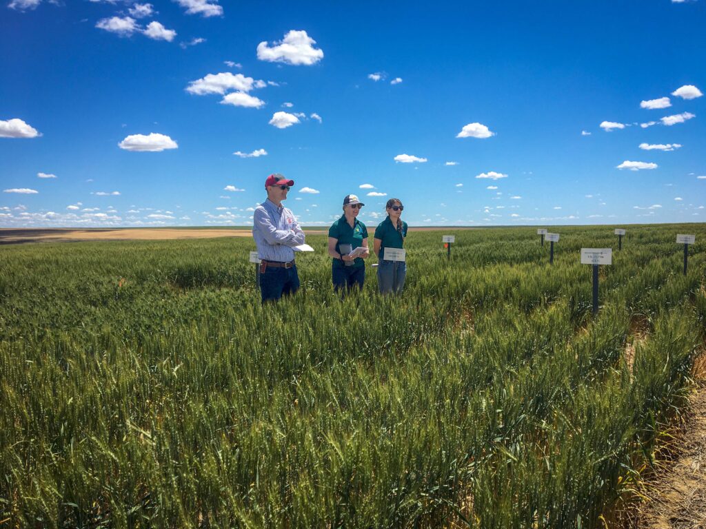 Dr. Clark Neely, Dr. Kim Campbell and graduate student present at the WSU field day in Harrington in 2021