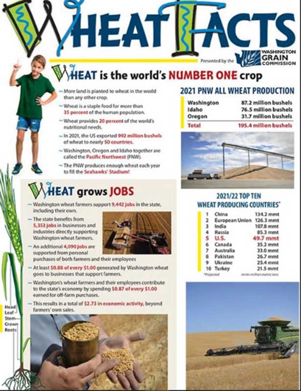 Front Page image of Wheat Facts brochure