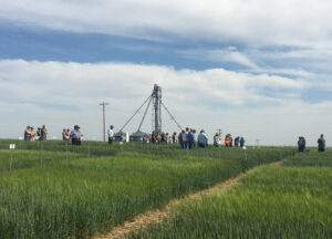 2021 Field Day attendees in a wheat field. 