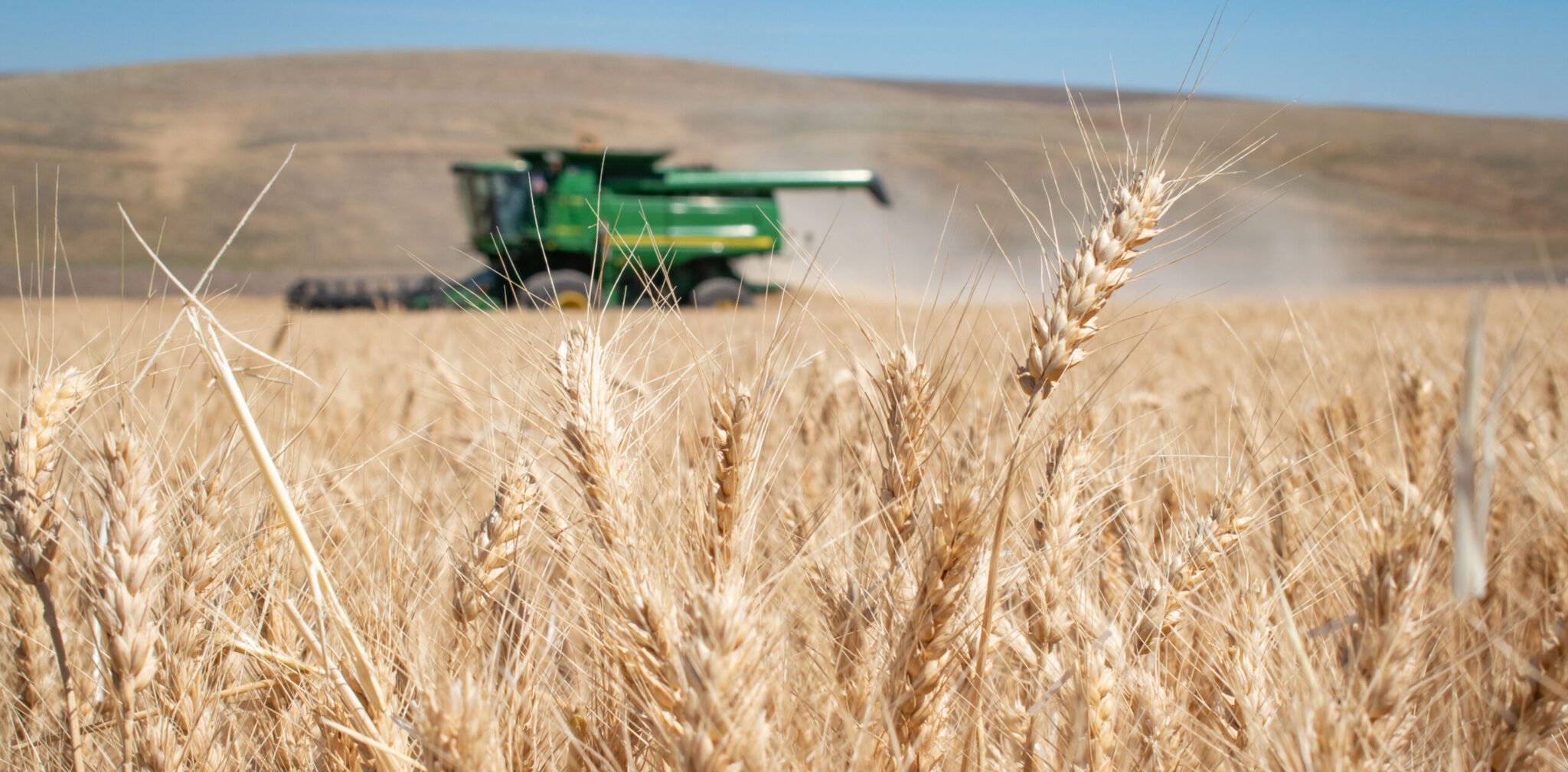 Harvest season brings harvest stress WA Grains