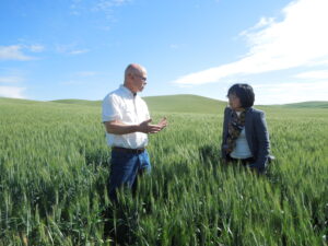 Man and woman talking while standing in a green field of wheat. 