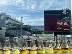 Beakers lined up in front a window looking out over an American football sports complex. 