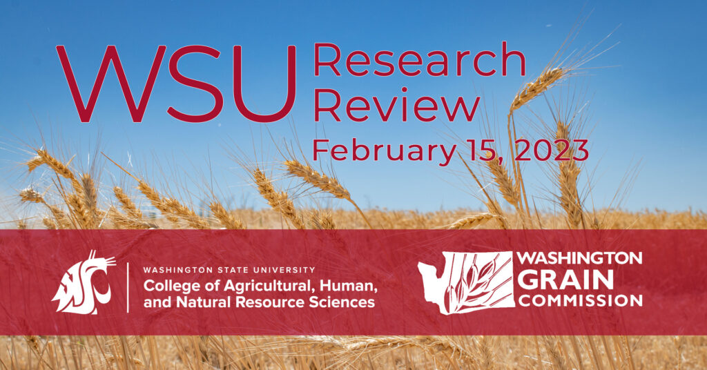 Event header image: WSU Research Review February 15, 2023