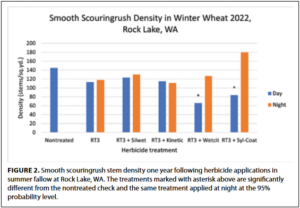 Table showing the density of smooth scouringrush in winter wheat at Rock Lake, Wash., in 2022
