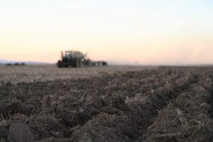 A tractor plants wheat seeds in the background of a field