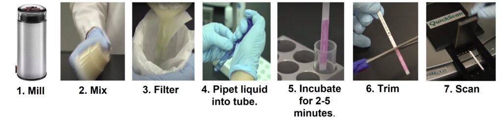 Diagram illustrating the steps in the process to run the current DON test.