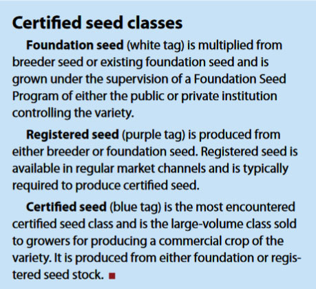 certified seed classes information