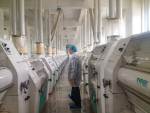 A person in white coat and hairnet standing in a flour mill