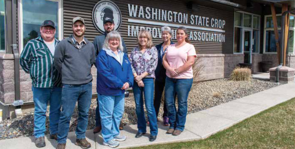 staff of the Washington State Crop Improvement Association