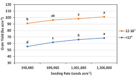 Chart showing the impact of seeding rate on grain yield of soft white winter wheat.