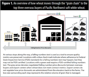A graphic overview of how wheat moves through the “grain chain” to the top three overseas buyers of Pacific Northwest soft white wheat.