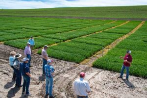 2022 Spillman Field day by Lori Maricle