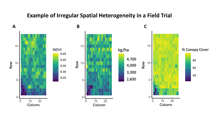 Figure 2: An example of the spatial differences that occur in a given field trail.