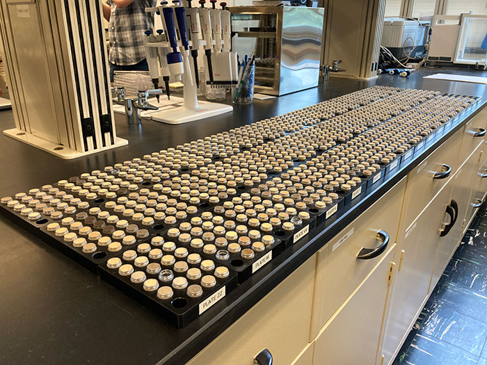 Soil samples being processed to be run through a mid-infrared spectrometer