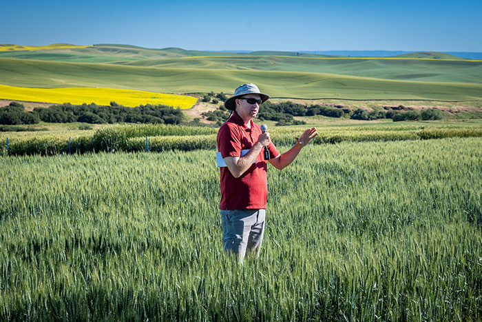 Arron Carter in wheat field