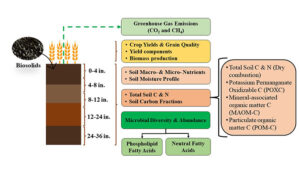 Figure 3: Ongoing research to continue tracking the legacy effects of biosolids in the dryland region.