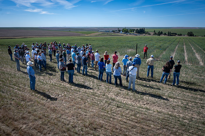 Dr. Arron Carter interacting with growers and stakeholders at the 2024 Lind Field Day.