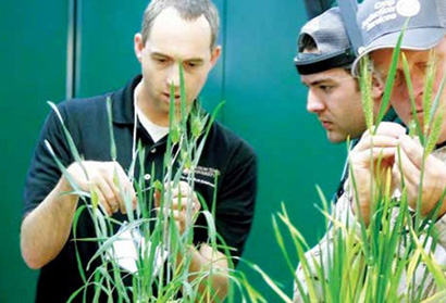 Dr. Arron Carter, the Washington State University winter wheat breeder, demonstrating how to emasculate winter wheat flowers prior to making crosses to attendees at the annual WSU Wheat Academy.