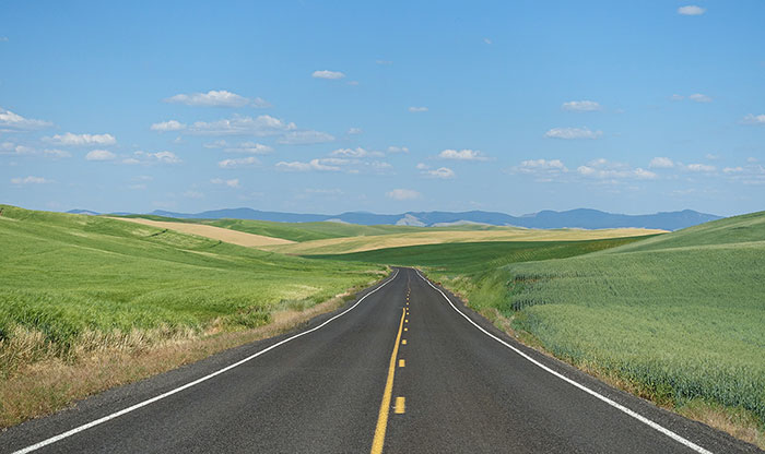 Adobe Stock photo-Road surrounded by Wheat Field in Washington State