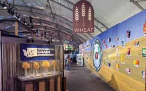 The Washington Grain Commission (WGC) joined industry partners to create a wheat exhibit that
brought Washington wheat to life. WGC worked with the fair’s exhibit designer, Alan Bruess, to build
a custom grain display featuring Washington’s four main wheat classes.
