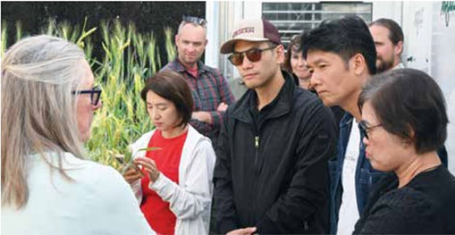 Representatives from some of Southeast Asia’s top flour mills visited Washington State University’s wheat breeding greenhouses with Dr. Kimberly Garland-Campbell (left) and Dr. Arron Carter (in background), to see how Washington’s high-quality wheat is rooted in research from field to flour.