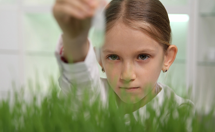 Wheat Week founder recognized