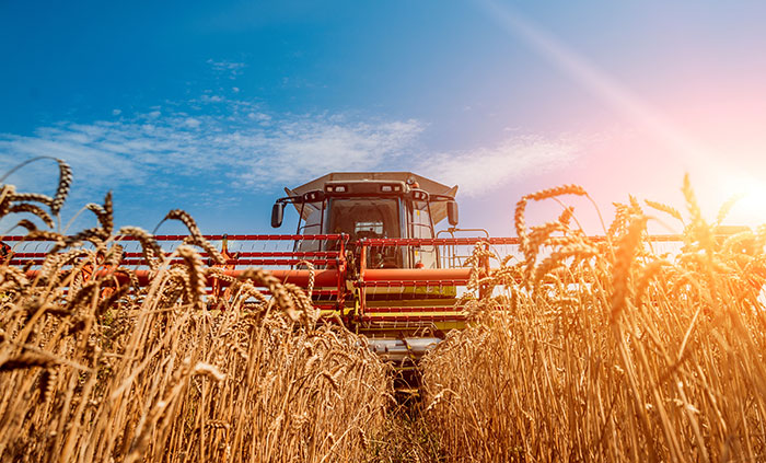 Washington growers plan to plant same as last year
