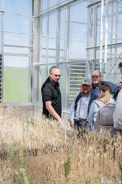 WSU winter wheat breeder Arron carter gives a tour of the WSU greenhouses to the aquaculture trade team.